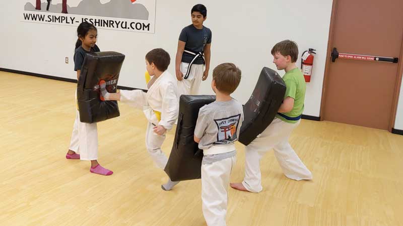 karate kids wixom mi