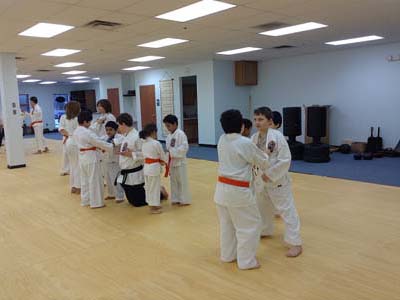Simply Isshinryu Karate and martial arts classes in wixom michigan
